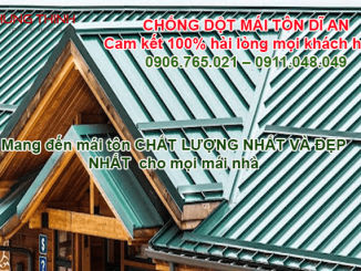CONG-TY- CHONG-DOT-MAI-TON-DI-AN