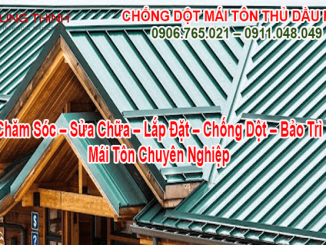 CONG-TY- CHONG-DOT-MAI-TON-THU-DAU-MOT